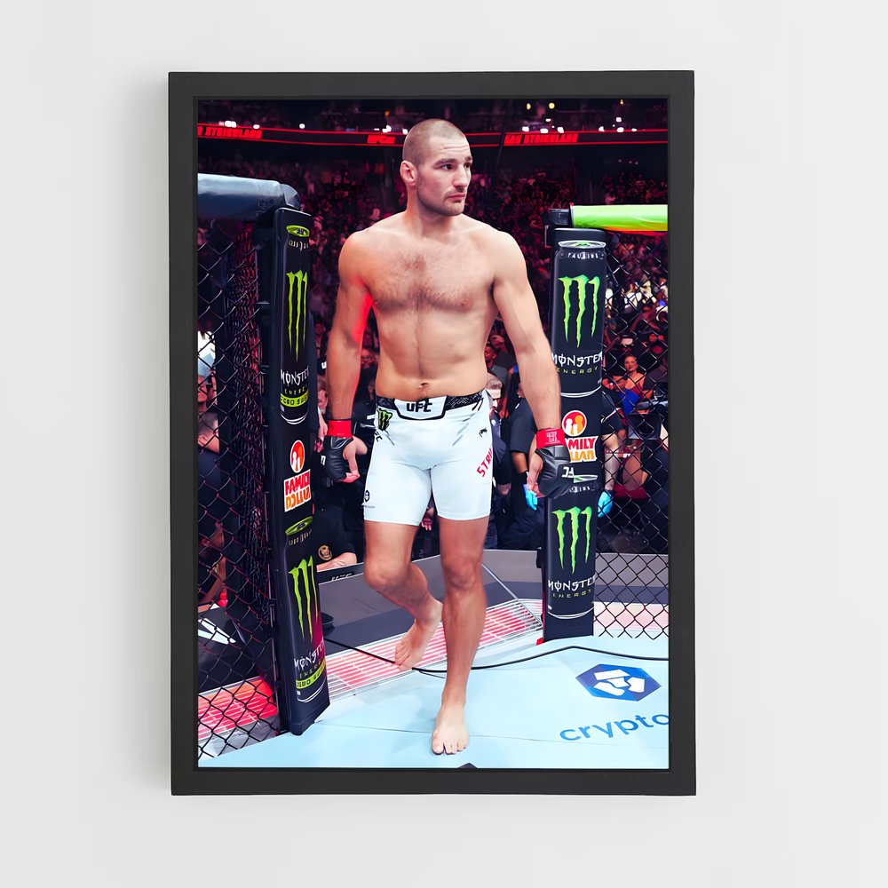 Poster L'Entrepreneur du Combat – affiche MMA (vue 2)